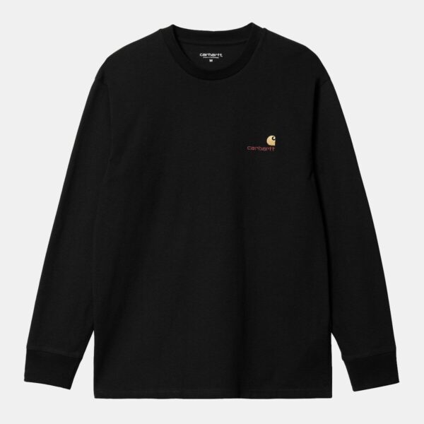 Футболка дл. рукав L/S American Script T-Shirt